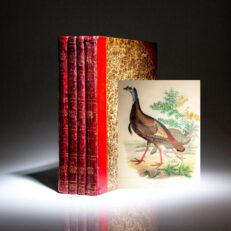 Rare first edition, first issue of American Ornithology by Charles Lucian Bonaparte.