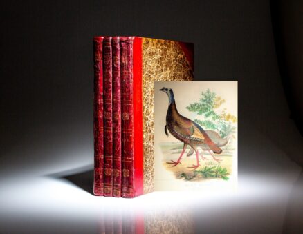 Rare first edition, first issue of American Ornithology by Charles Lucian Bonaparte.